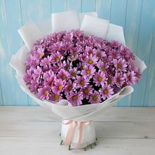 Букет цветов из:  Хризантемы в Вознесенской Республики Ингушетия