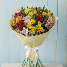 Букет цветов из:  Альстромерии в Вознесенской Республики Ингушетия