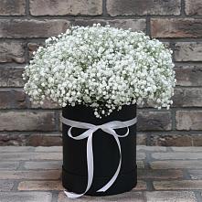 Цветочная композиция из Гипсофила в шляпной коробке #REPLACE_PRED# Вознесенской Республики Ингушетия