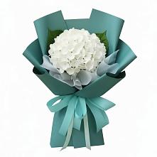 Букет цветов из:  Гортензия в Вознесенской Республики Ингушетия
